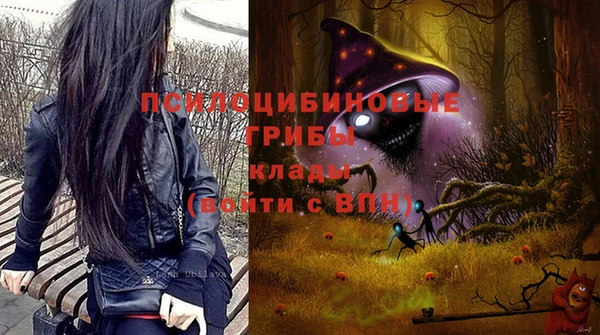 PSILOCYBIN Кинешма
