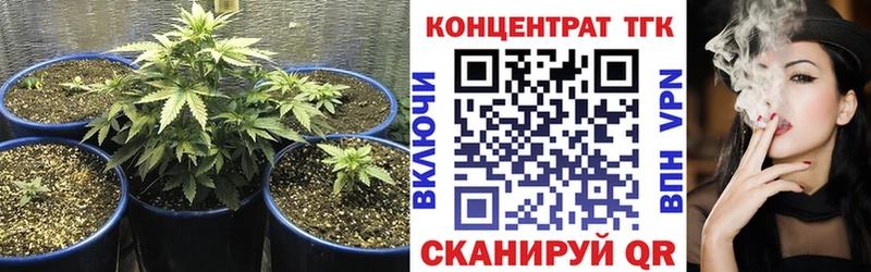 Купить  Тамбов  ТГК концентрат 
