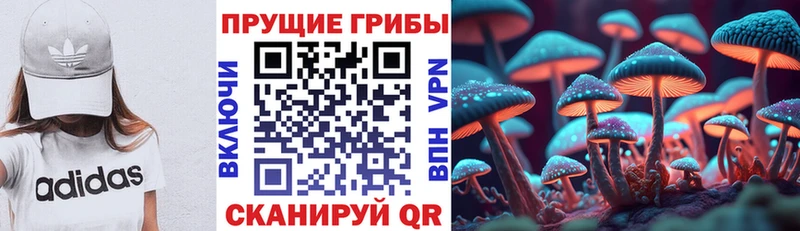 Купить закладки  Тамбов  Галлюциногенные грибы Magic Shrooms 